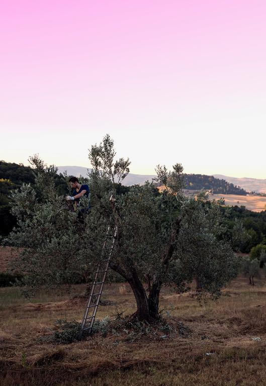 Villa Fonteintanata Miemo Esterno foto